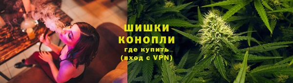 индика Инсар