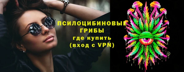 индика Инсар