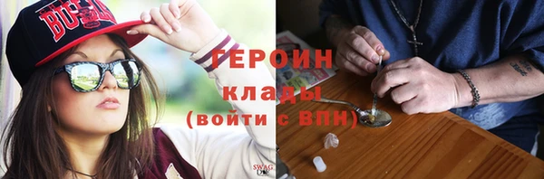 индика Инсар