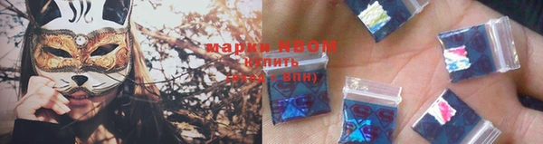 индика Инсар