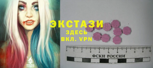 индика Инсар