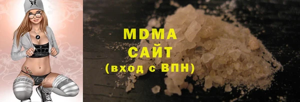 индика Инсар