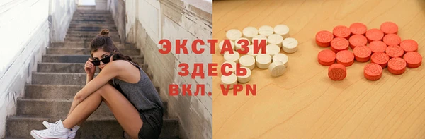 индика Инсар