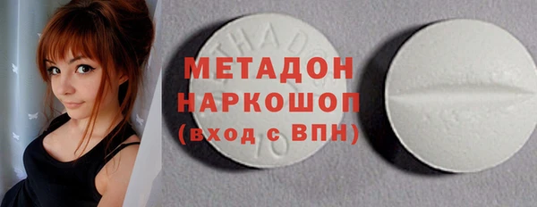 индика Инсар