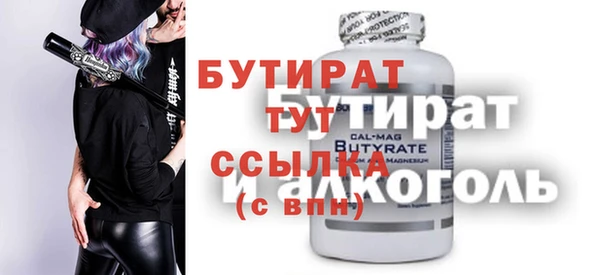 индика Инсар