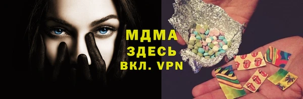 индика Инсар