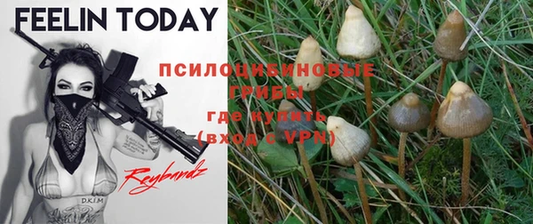 прущая мука Иннополис