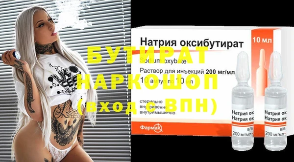 индика Инсар
