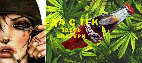 индика Инсар