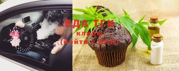 индика Инсар