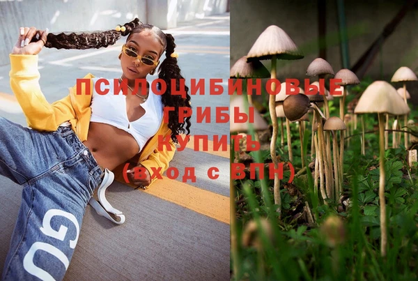 прущая мука Иннополис
